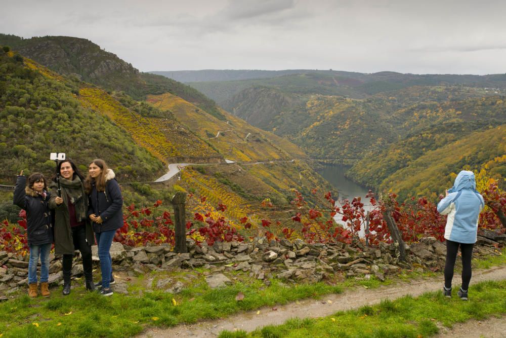 La Ribeira Sacra luce estos días unos hermosos colores otoñales // Brais Lorenzo