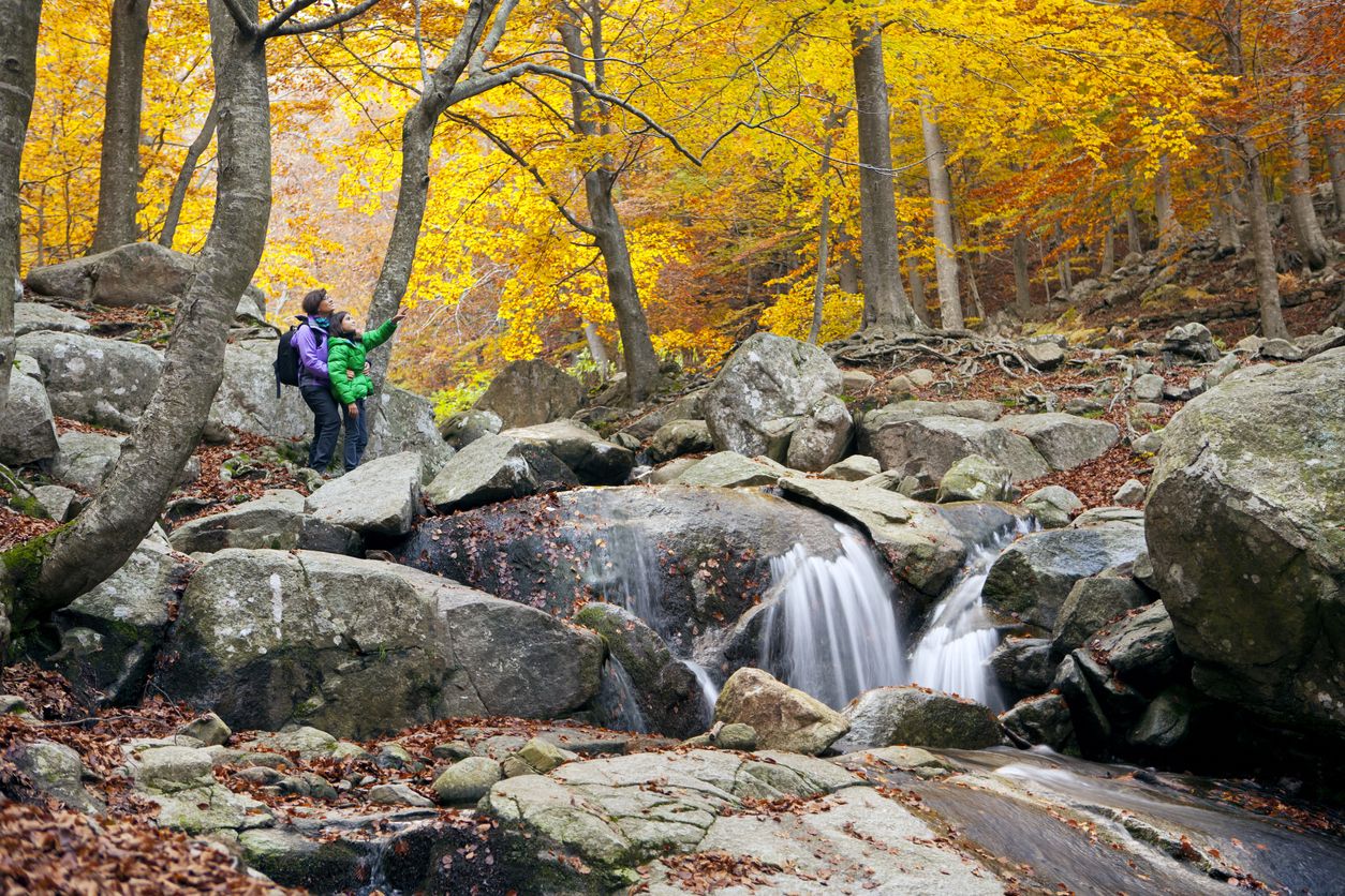 El Montseny en otoño.