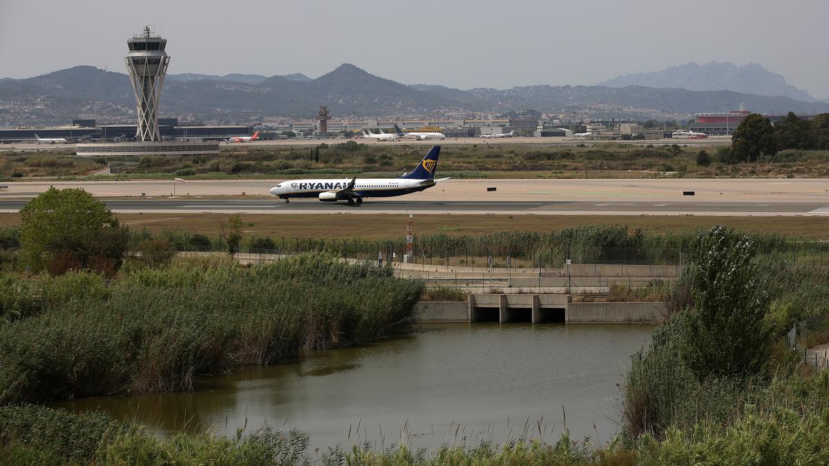 El espacio natural de la Ricarda, junto al aeropuerto de El Prat.