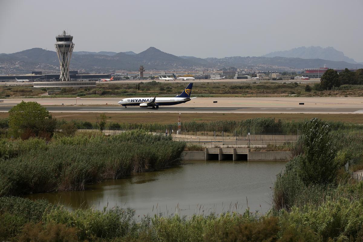 El espacio natural de la Ricarda, junto al aeropuerto de El Prat.