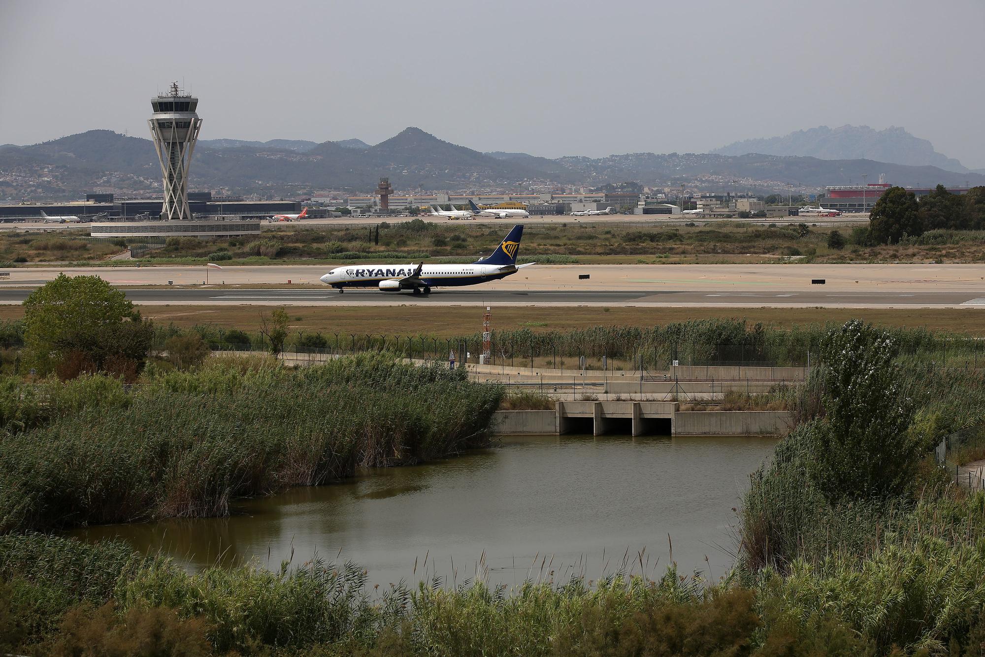 'La Ricarda', reserva de pajaros, en EL Prat de Llobregat junto al Aeropuerto