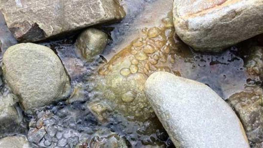 Playa de Torbas, en la costa de Coaña, donde se ha detectado la presencia de medusas.