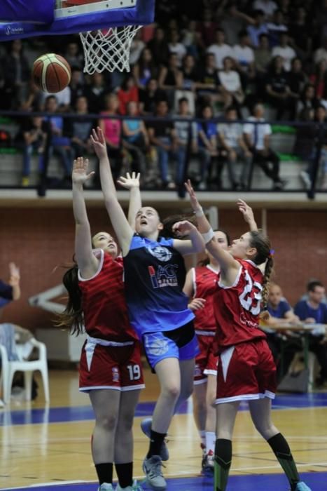 Campeonato Cadete de Baloncesto Femenino