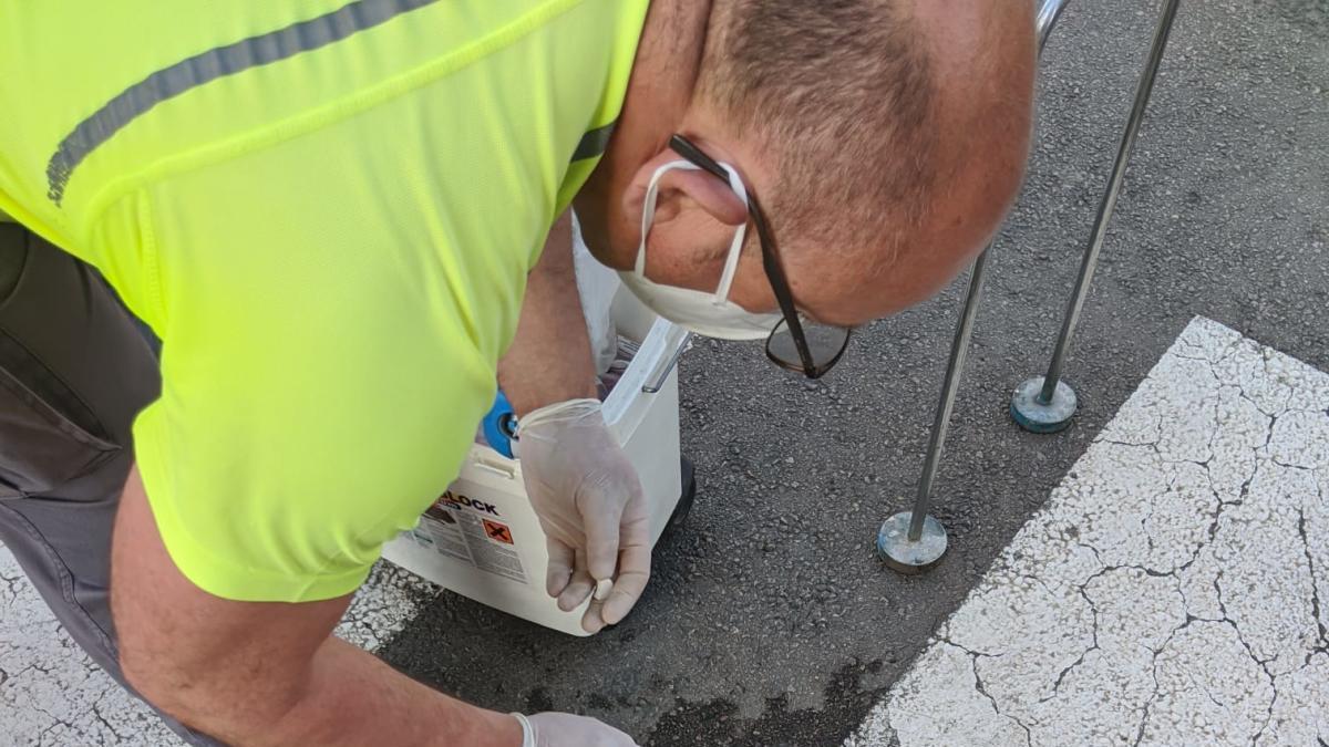 Benetússer refuerza los tratamientos contra el mosquito tigre