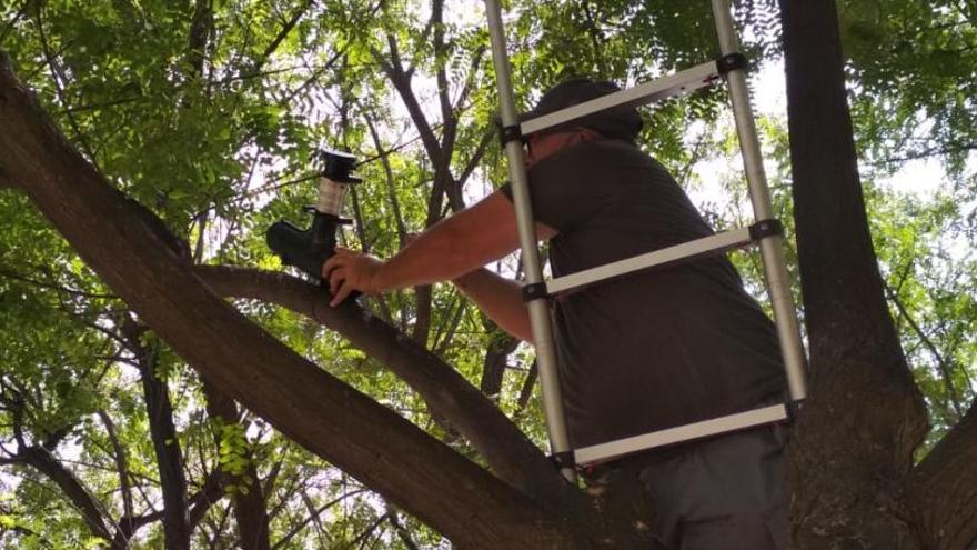 Incremento en el control de roedores en las alcantarillas de la ciudad