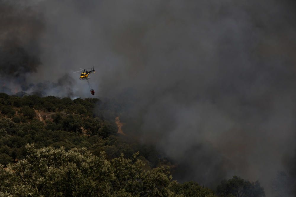 Incendio Pino del Oro y Castro de Alcañices