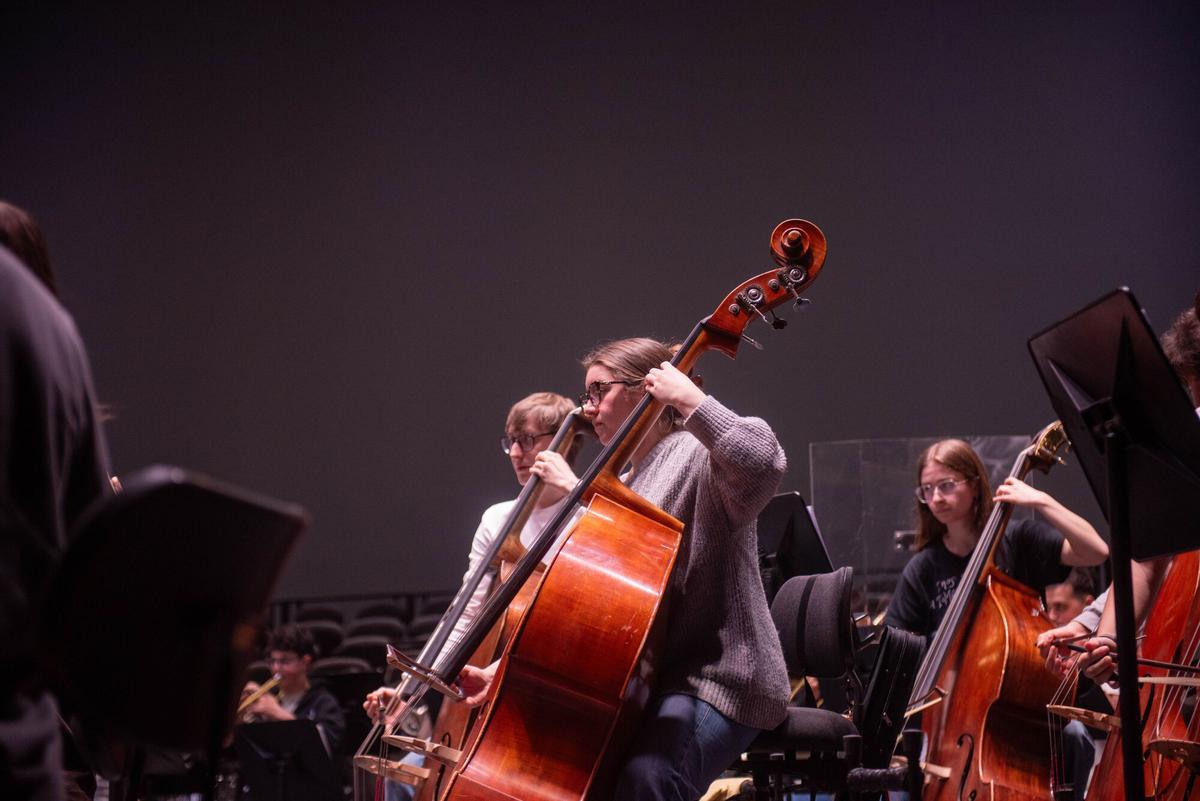 ORQUESTA SINFONICA JOVEN