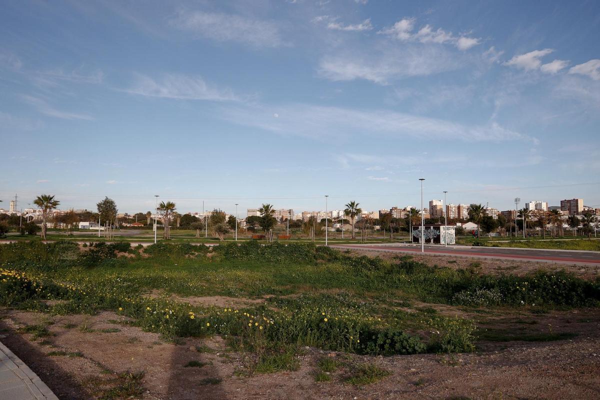 Terrenos en el Plan Rambla