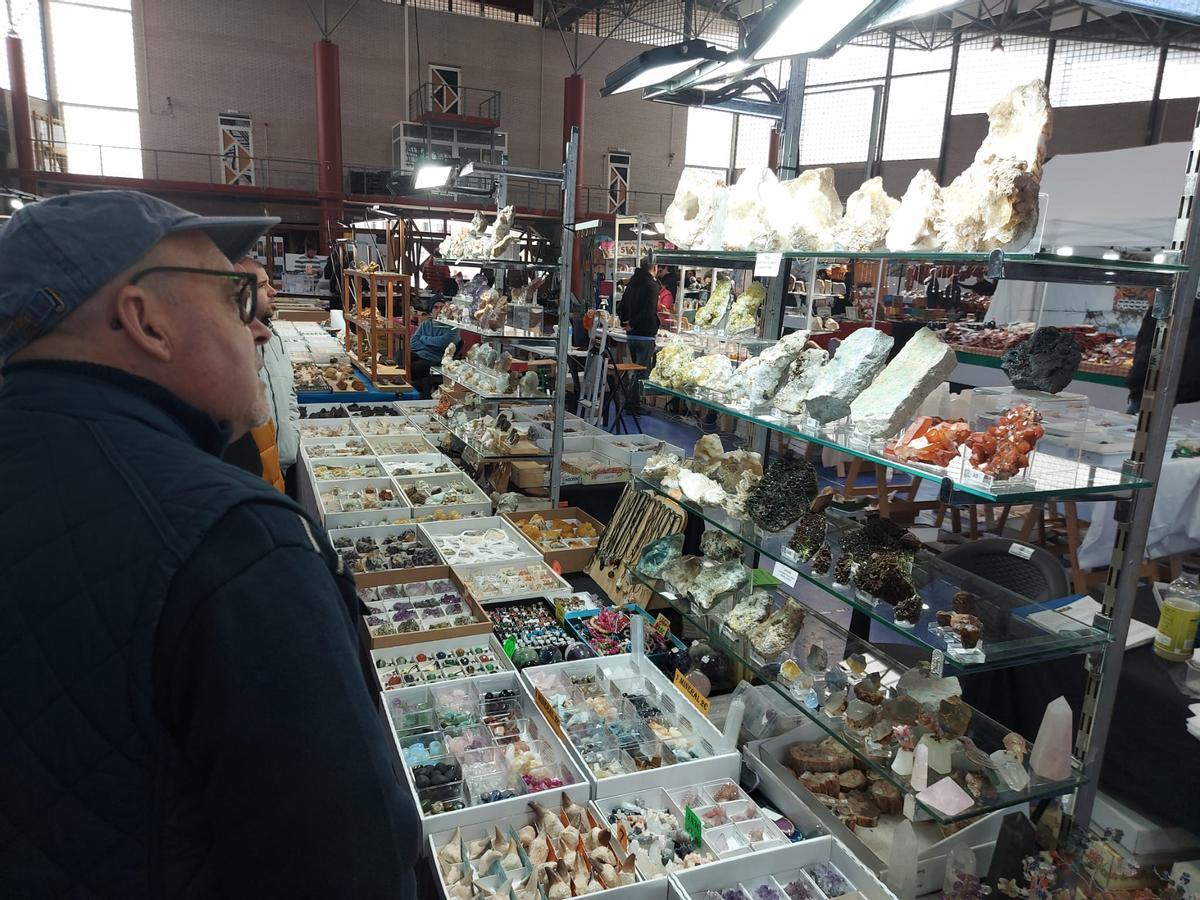 En imágenes: Éxito de la primera feria de fósiles, meteoritos y minerales de Vegadeo