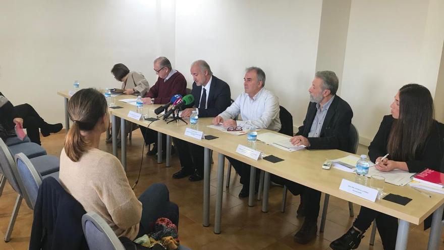 Representantes vecinales y de la asociación hotelera de la Playa de Palma.