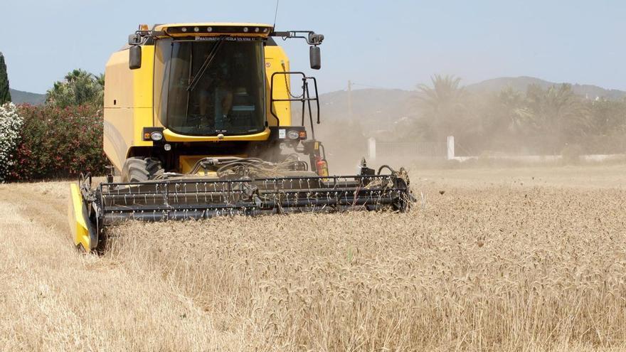 Una batalla detrás de otra en el campo de Ibiza