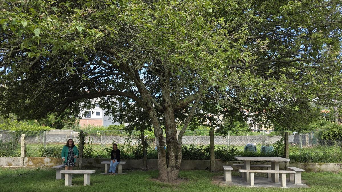 Araceli Gestido y Sagrario Martínez en el Parque das Andias.