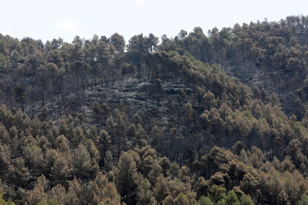 Incendi a Artés