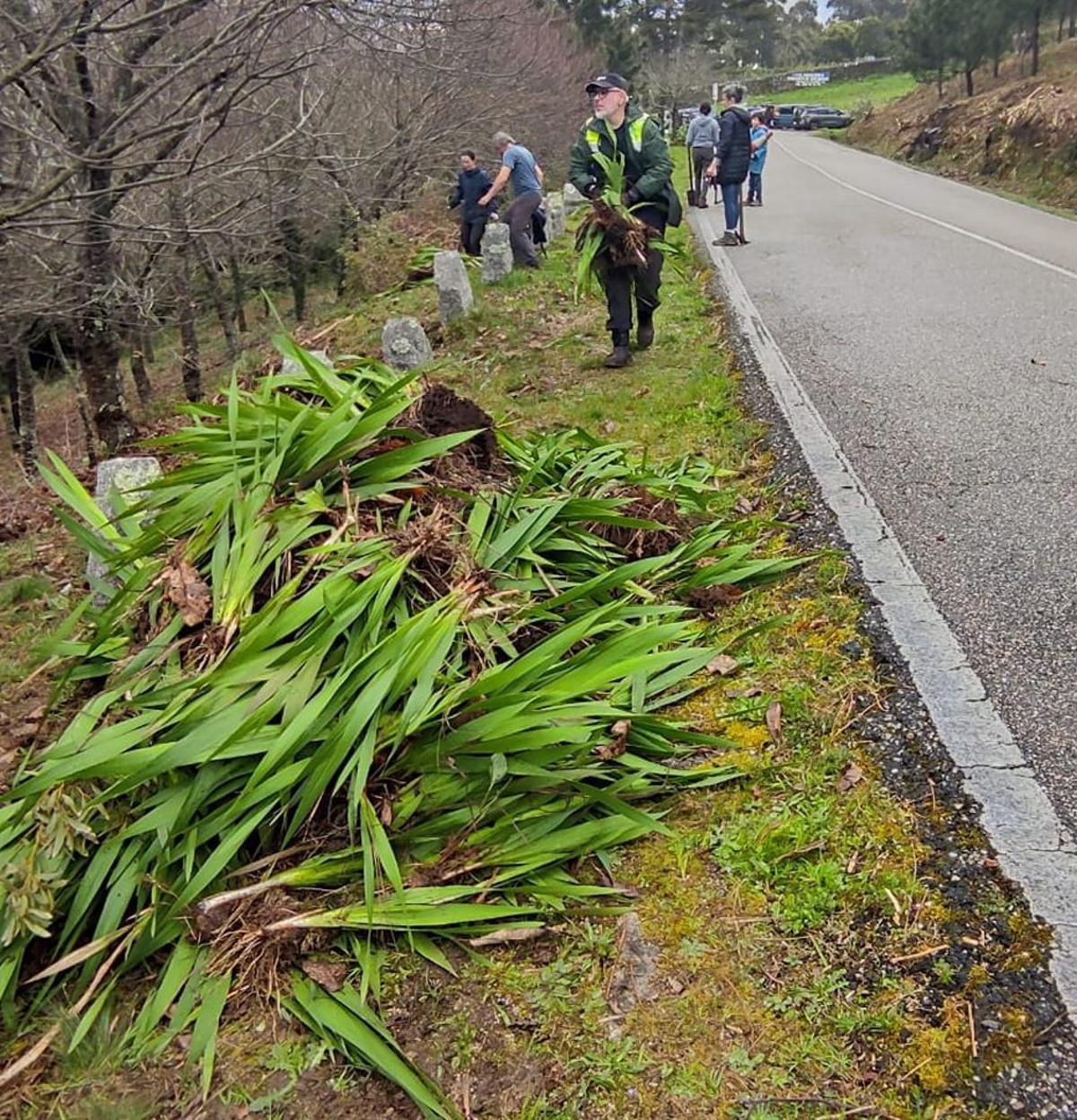 Voluntarios, durante un momento de la jornada. | FDV