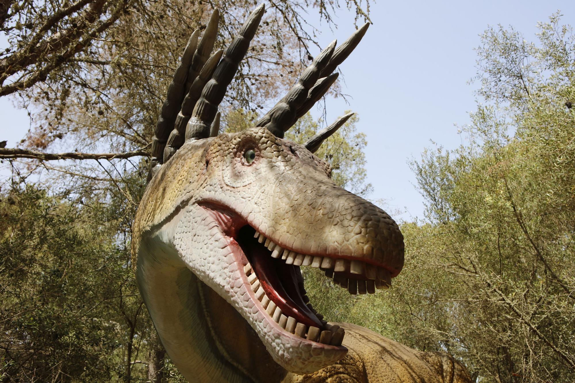 Besuch im neuen Dino-Park auf Mallorca