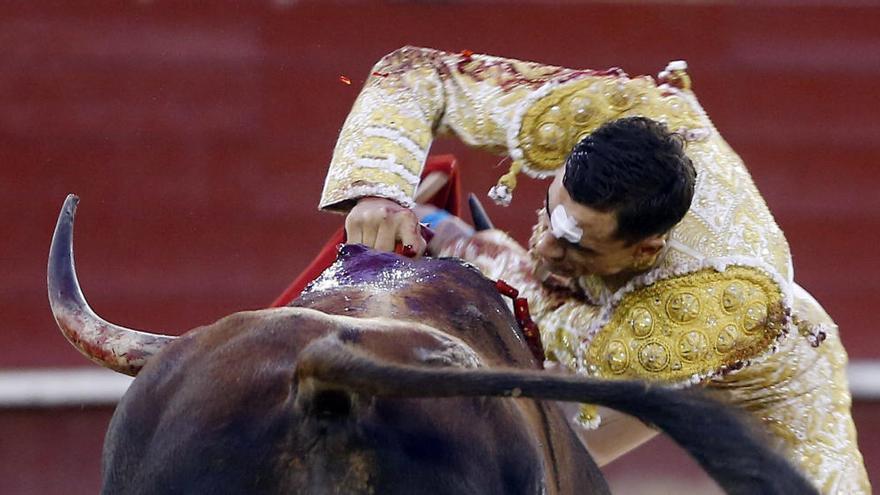 El diestro Paco Ureña entra a matar a su segundo astado durante la segunda corrida de toros de la Feria de Julio.