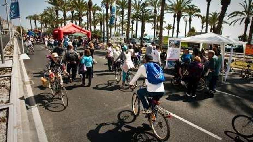 Ciclovía adaptada para todos