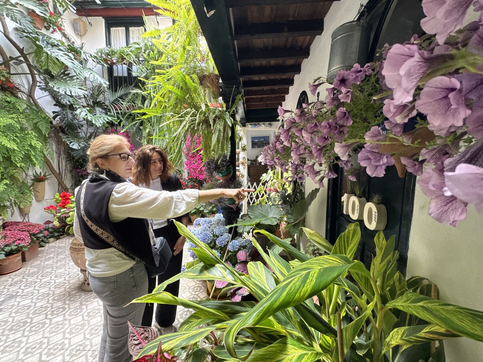 La Ruta 4 de los Patios de Córdoba, en imágenes