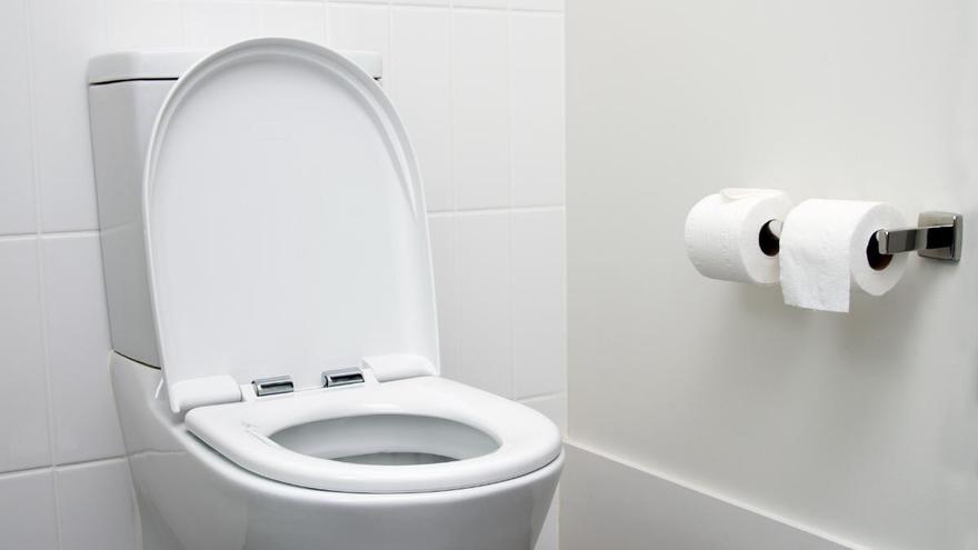 Adiós al váter tradicional: el baño seco ha llegado para quedarse