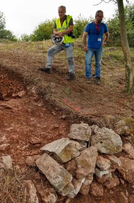 Excavación en el castro de Boinas