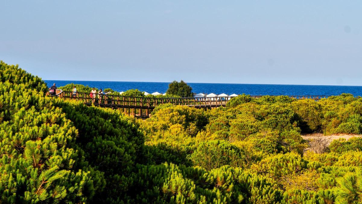 Playa del Carabassí.
