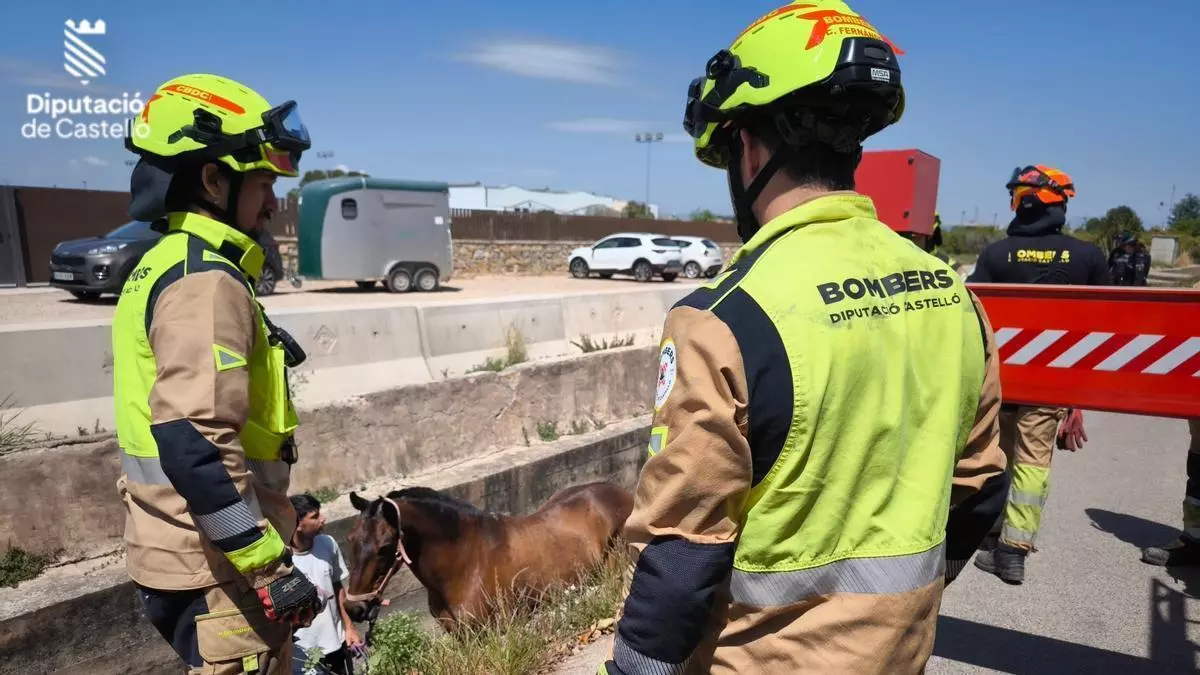 Salvan a un caballo que había caído en una acequia de un pueblo de Castellón
