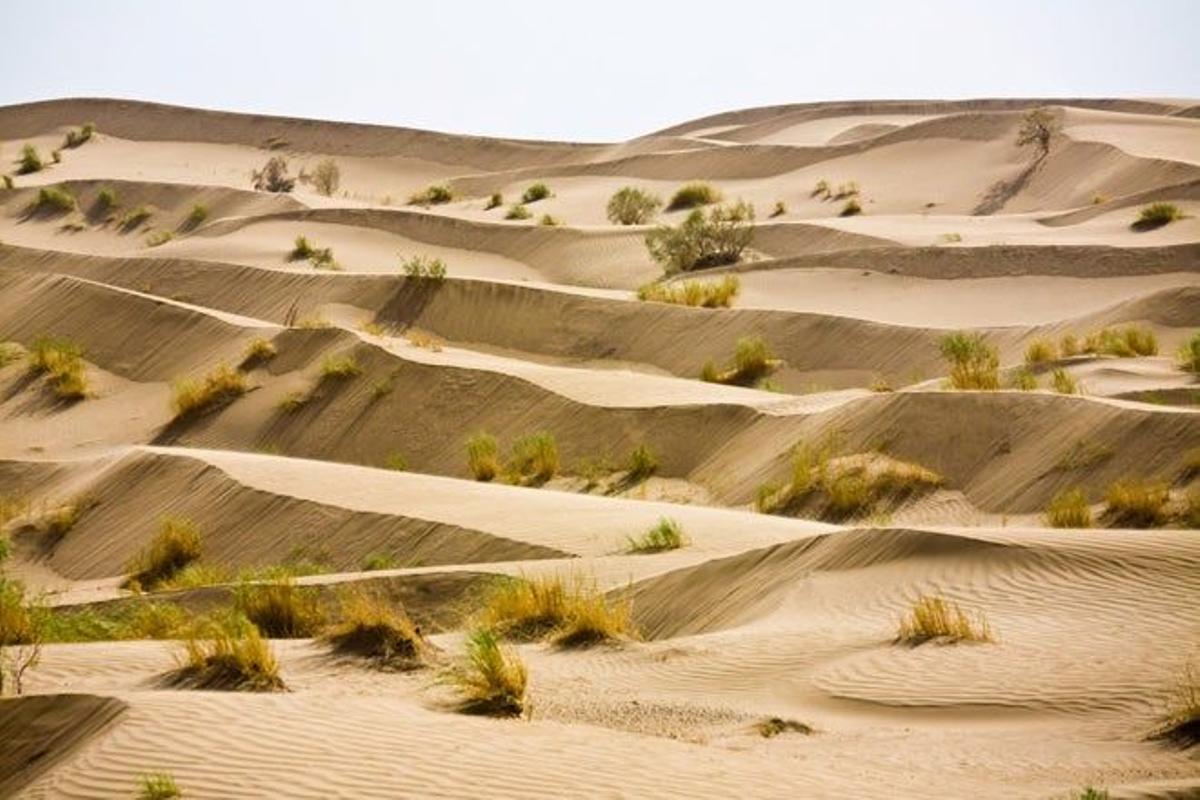 Desierto Karakum