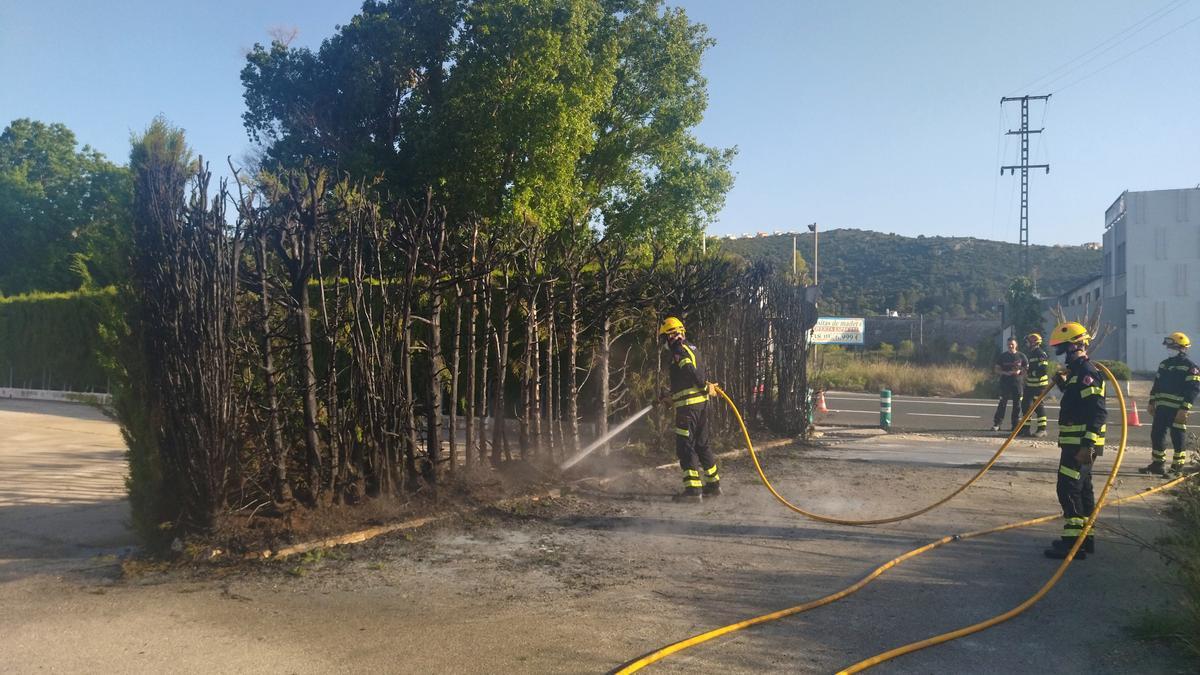 Los bomberos refrescan el seto de cipreses calcinado