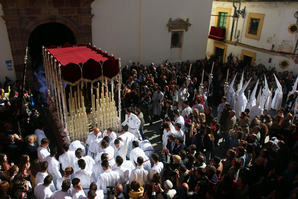 Domingo de Ramos | Salutación