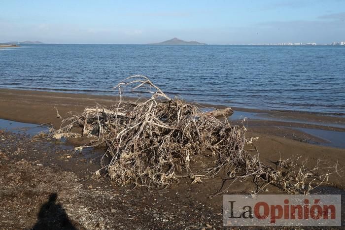 SOS Mar Menor retira dos toneladas de basura