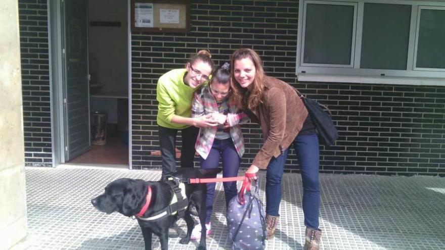 Participantes en la terapia con perros.