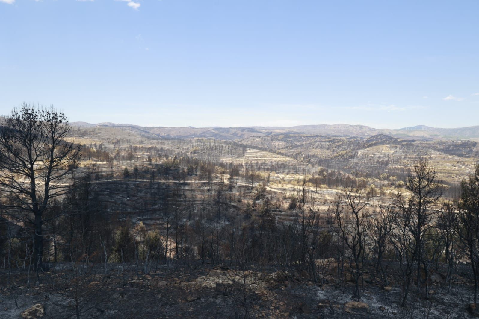 Las consecuencias del incendio de Bejís en Teresa