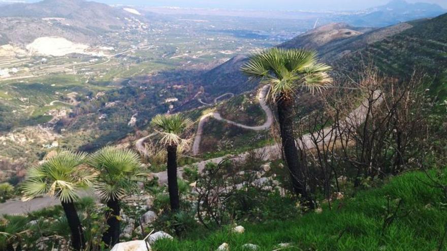 Las montañas de la Vall d’Ebo tras 4 meses: el verde ya borra las cenizas