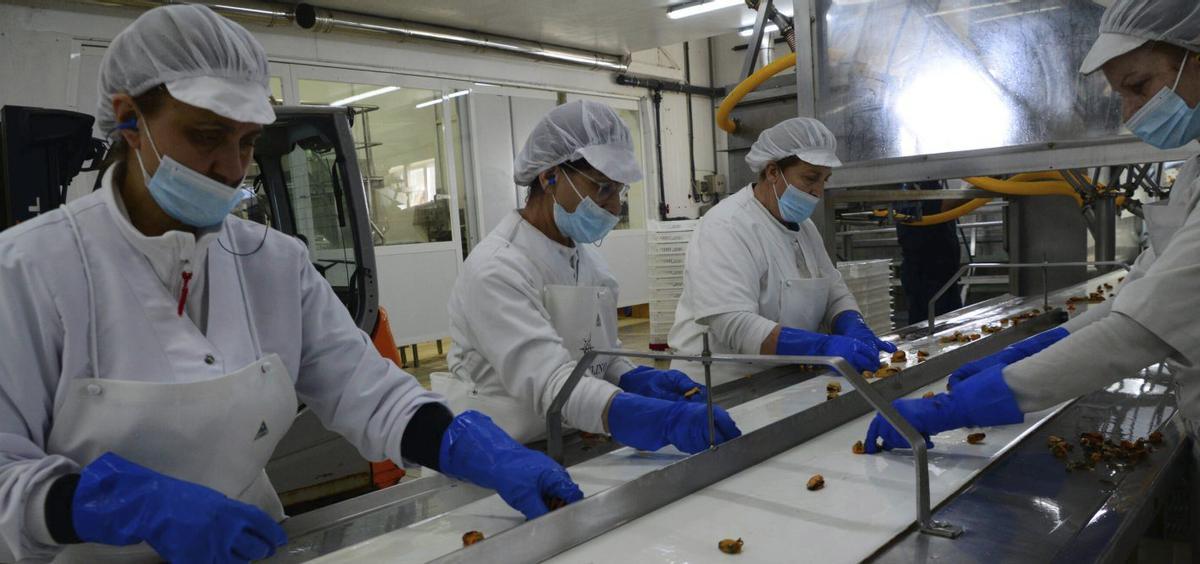 Trabajadoras, en las dependencias de Pescados Marcelino, la última semana.