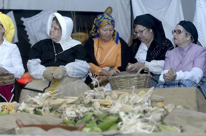 PREGON FIESTAS DE SAN GREGORIO EN TELDE