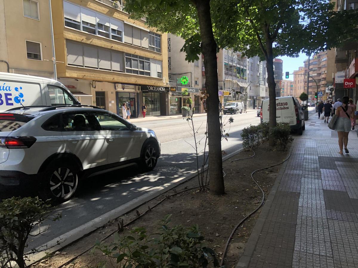 Estado de los arriates.