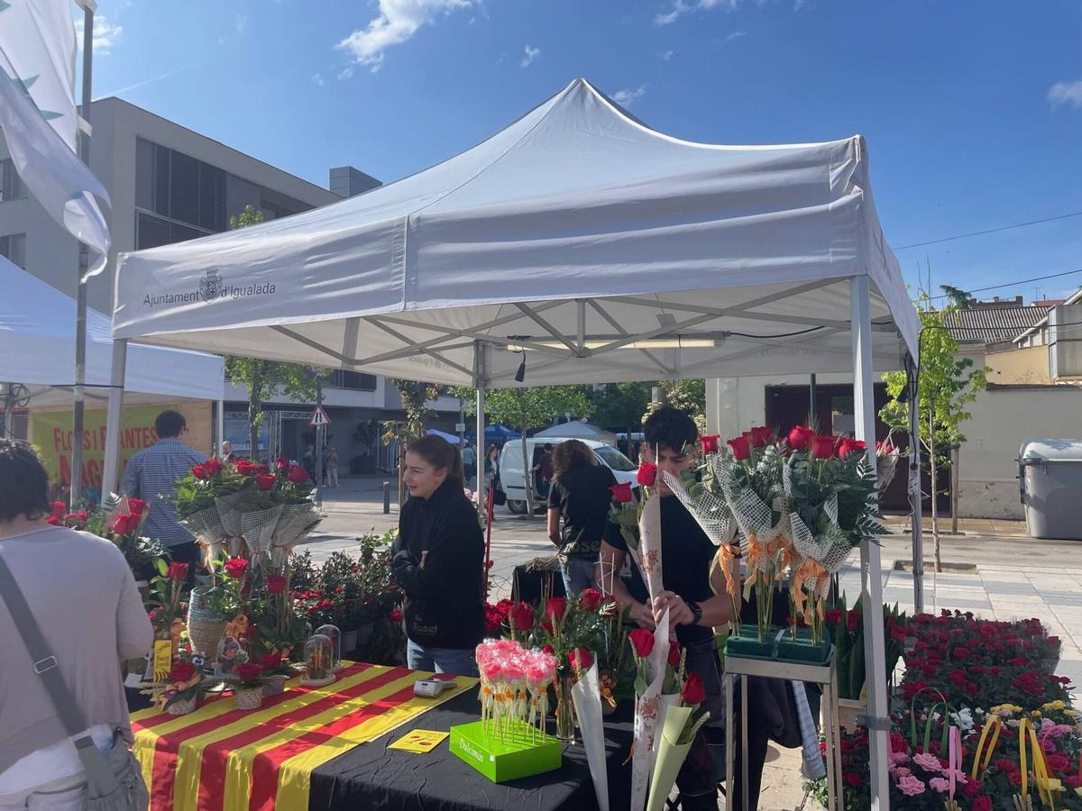 Igualada omple de roses, música i literatura la plaça de Cal Font en la diada de Sant Jordi