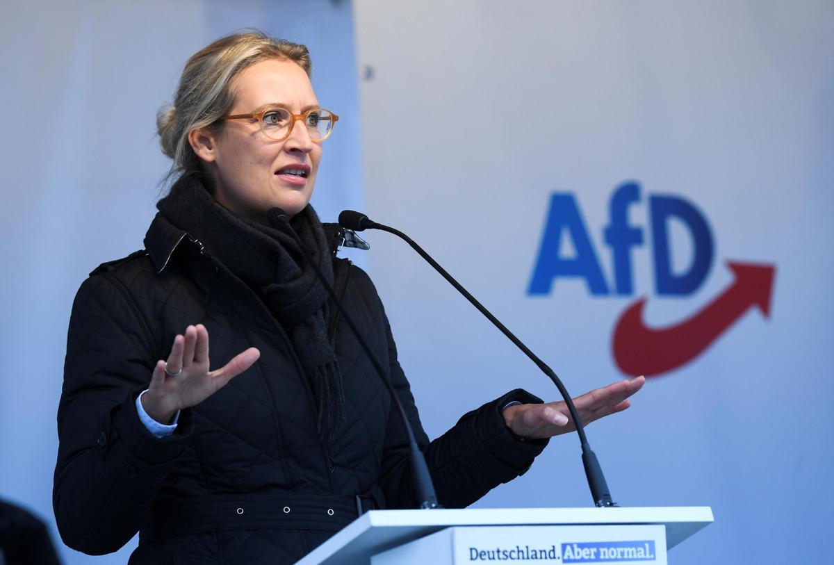 La presidenta del partido ultra Alternativa para Alemania (AfD), durante un mitin en Berlin. La presidenta del partido ultra Alternativa para Alemania (AfD), durante un mitin en Berlin.