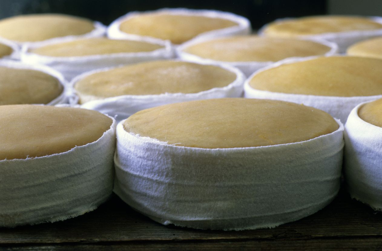 Los famosos quesos de la Serra da Estrela.