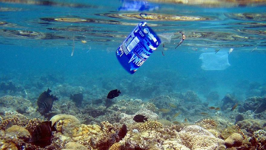 Un trozo de plástico dentro del mar junto a un banco de peces.