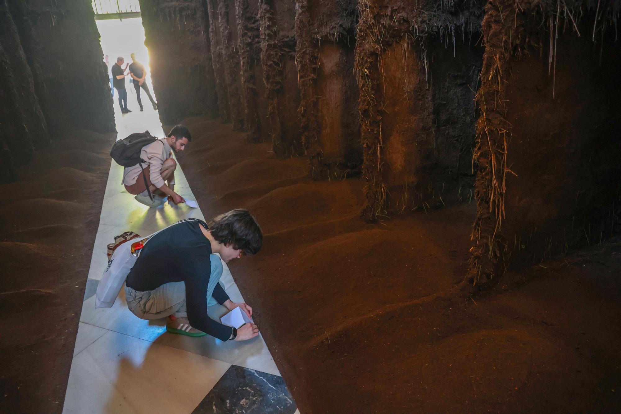 Instalación 'Profundis', en el Monasterio de la Cartuja de Sevilla. A 27 de mayo de 2024, en Sevilla (Andalucía, España). El Monasterio de la Cartuja de Sevilla acoge 'Profundis', primer proyecto en España de la artista colombiana Delcy Morelos, una instalación a gran escala creada ex profeso para el Centro Andaluz de Arte Contemporáneo (CAAC) que permanecerá expuesta desde este miércoles hasta el 9 de marzo de 2025. 27 MAYO 2024 Rocío Ruz / Europa Press 27/05/2024 / Rocío Ruz;