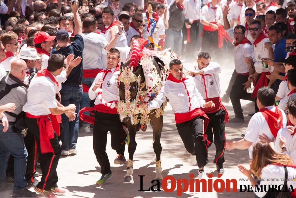 Carrera de los Caballos del Vino