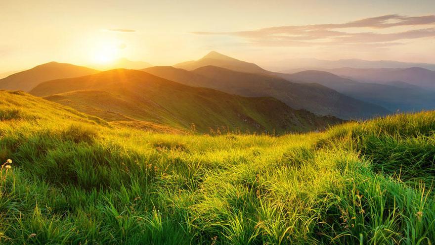 Soluciones de la naturaleza: La mejor aliada