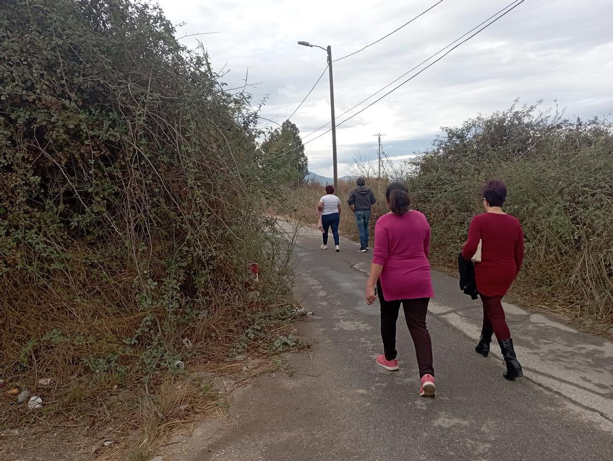 Tramo de la carretera de Los Chopos sin aceras y con zarzas.