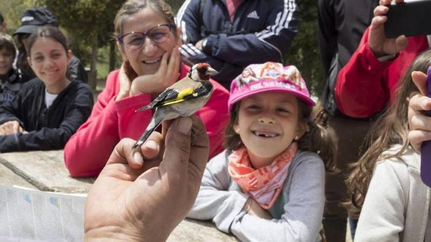 Nens participant en una jornada de descoberta de la natura