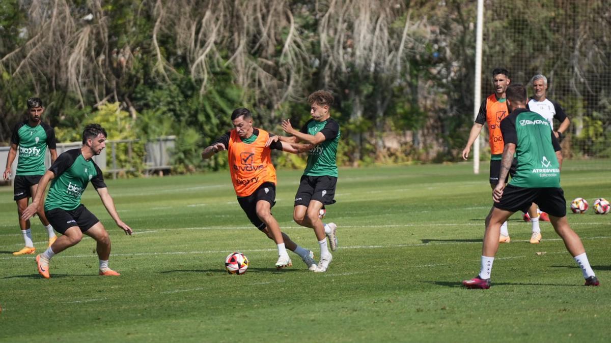 Simo y Carracedo pelean por un balón durante el entrenamiento del Córdoba CF, este miércoles.