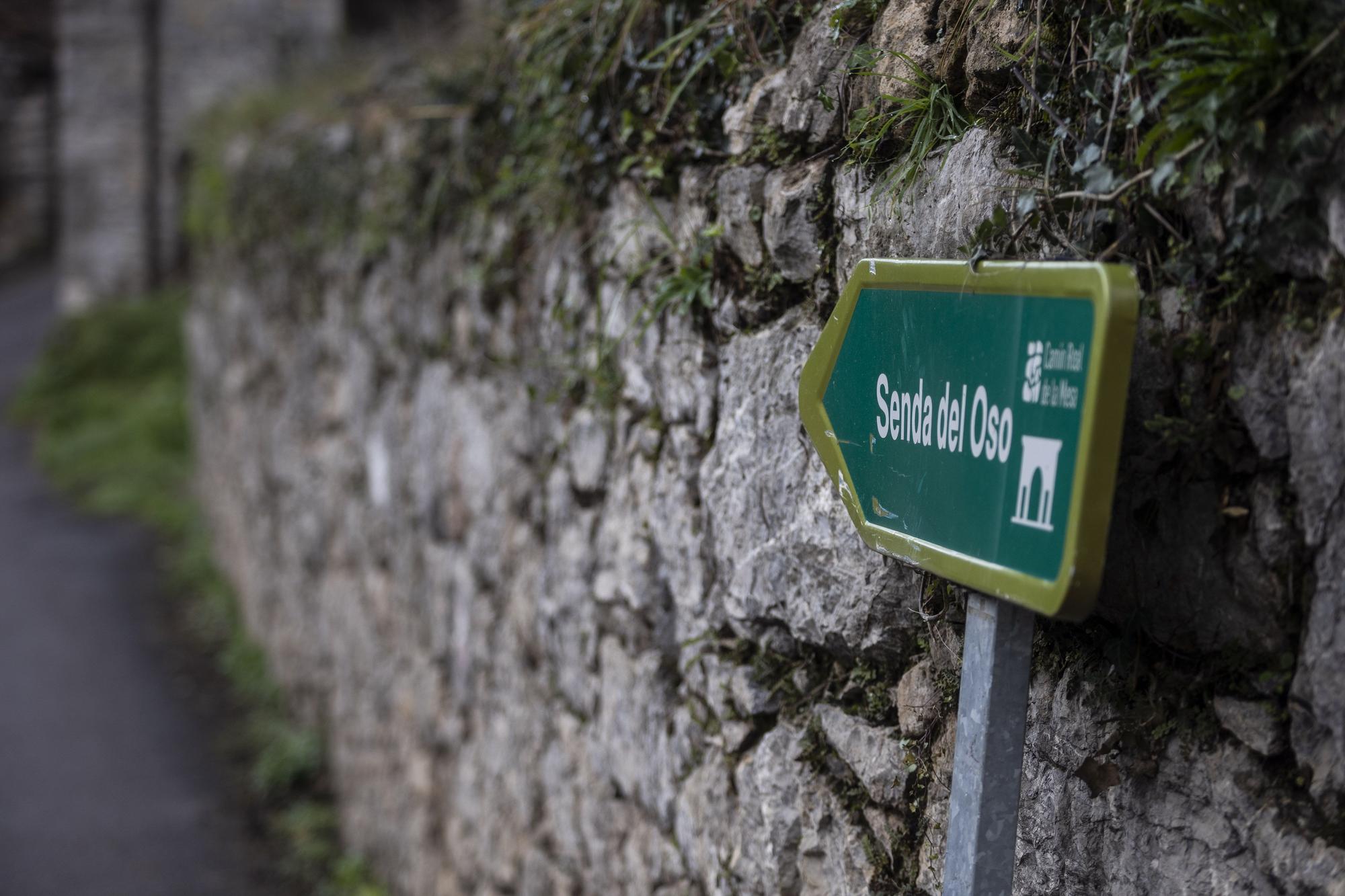 Asturianos en Santo Adriano, un recorrido por el municipio