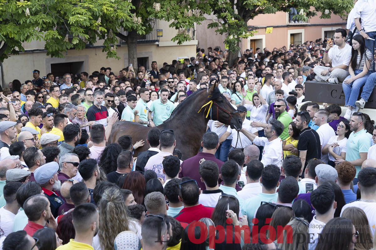 Fiestas de Caravaca | Entrega de premios del concurso morfológico