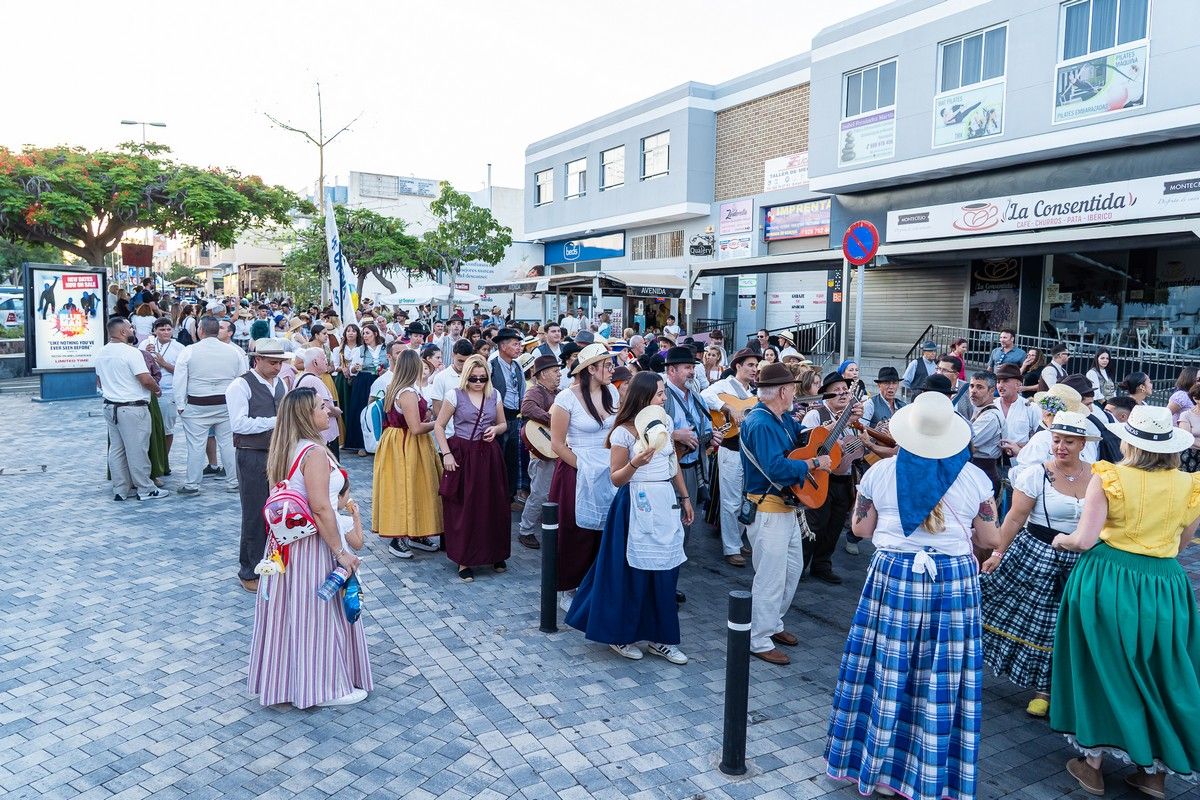 Romería de San Fernando 2025