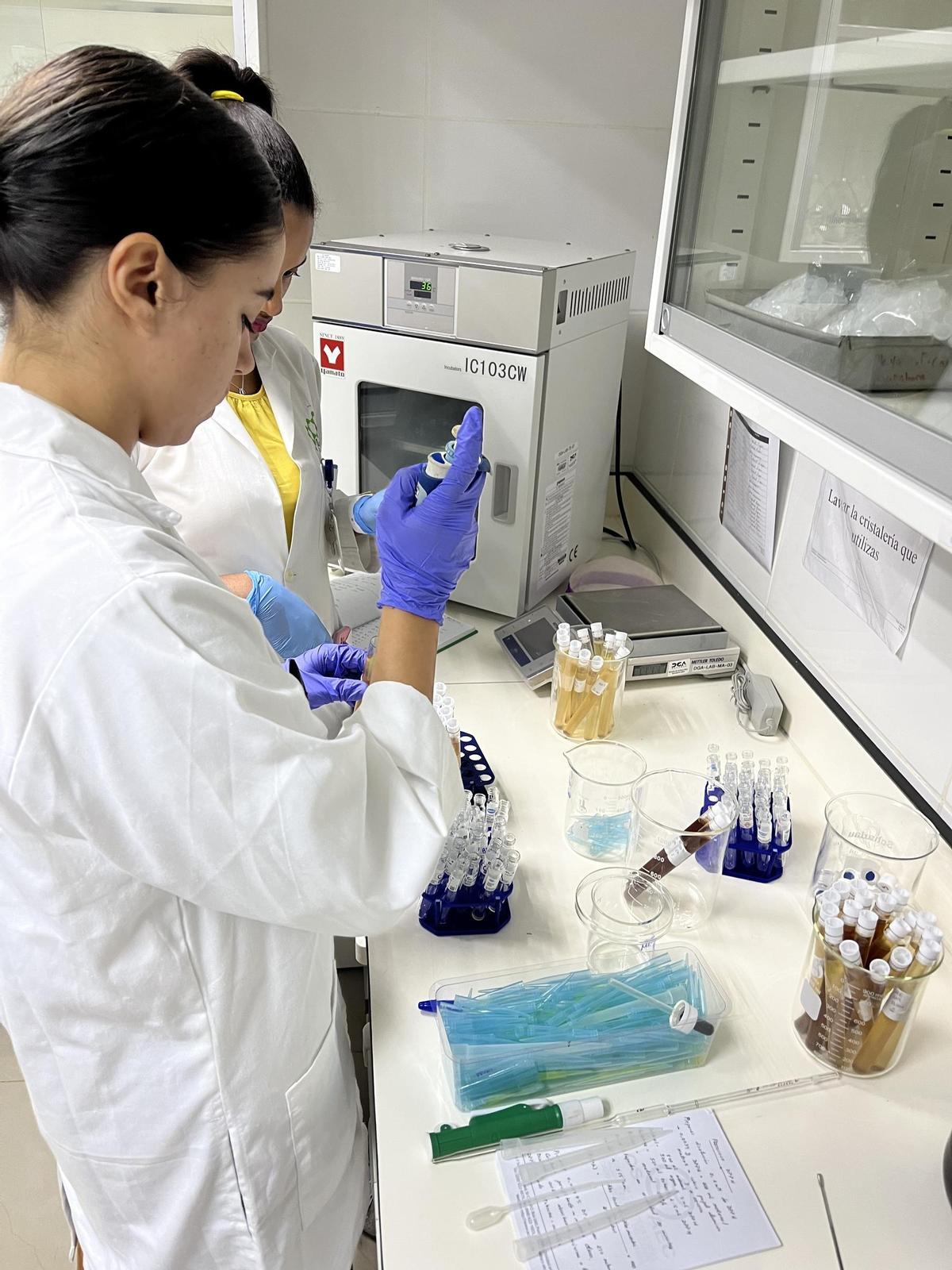 Elena, trabajando en el laboratorio de la empresa en República Dominicana.